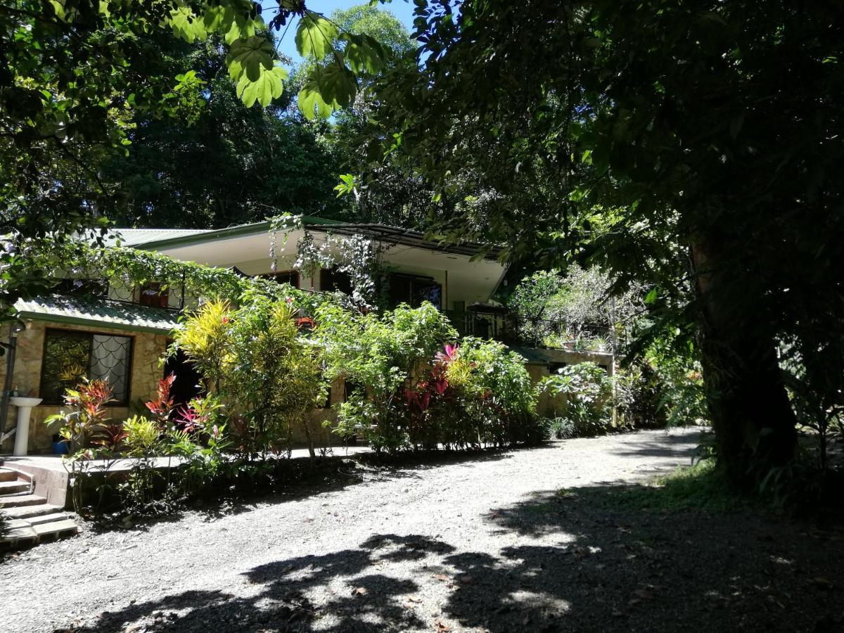 La Montanita Lodge Manuel Antonio Exterior photo
